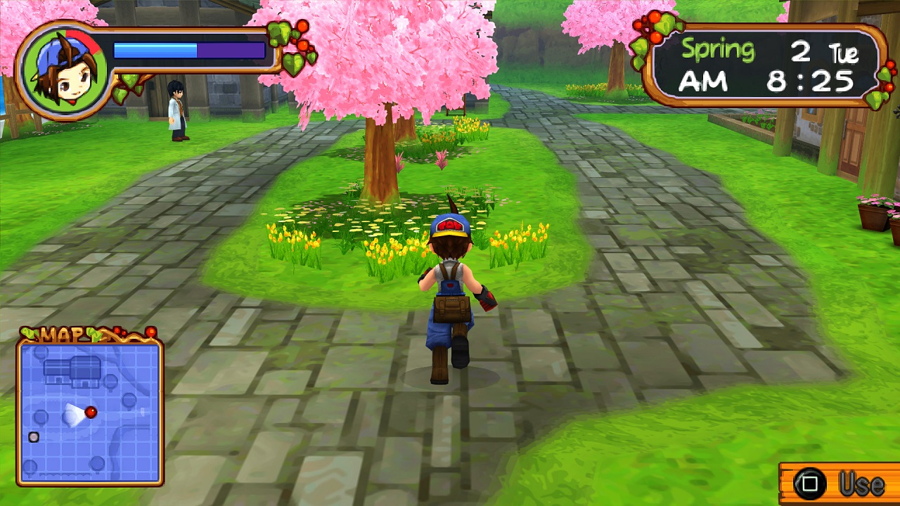 Ppsspp Games For Android Harvest Moon